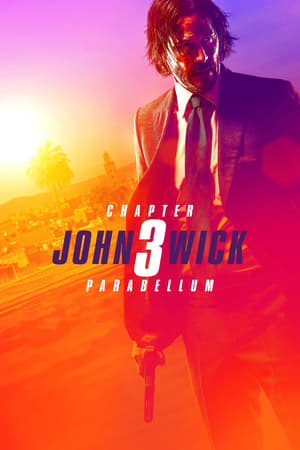 6flymovie John Wick: Chapter 3 - Parabellum2019 Bluray Hindi+English