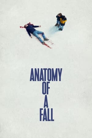 6flymovie Anatomy of a Fall (2023) Hindi Blu-Ray