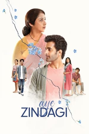 6flymovie Aye Zindagi (2024) Hindi Zee5 WEB-DL 