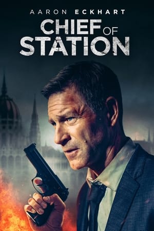 6flymovie Chief of Station (2024) Dual Audio [Hindi-English] AMZN WEB-DL