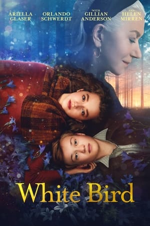 6flymovie White Bird (2023) BluRay Hin + Eng + Tam + Tel 