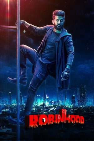6flymovie Robinhood (2025) Dual Audio [Hindi HQ-Telugu] WEB-DL