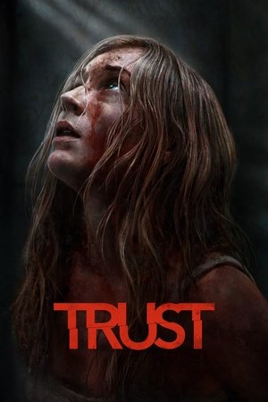 6flymovie Trust (2025) Dual Audio [Hindi ORG. + English] WEB-DL