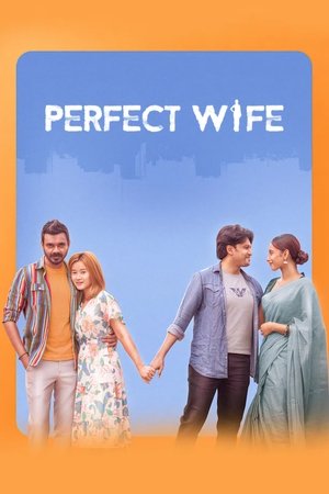 6flymovie Perfect Wife (2025) WEB-DL Bengali 