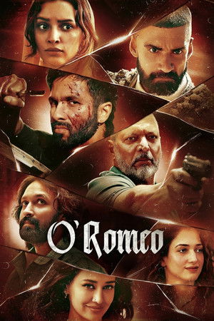 6flymovie O'Romeo (2026) Hindi HDTC