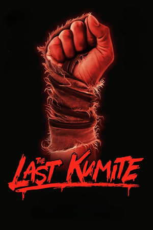 6flymovie.xyz The Last Kumite (2024) (Hindi Dubbed) HQ Fan Dub