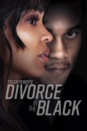 6flymovie.xyz Tyler Perrys Divorce in the Black (2024) Dual Audio [Hindi ORG-English] HDRip