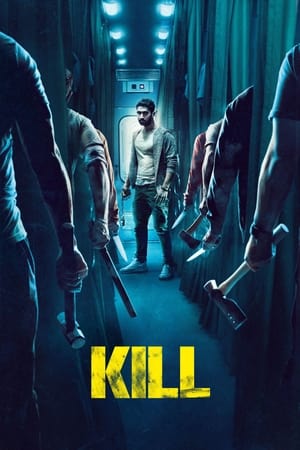 6flymovie Kill (2024) Hindi AMZN WebRip 